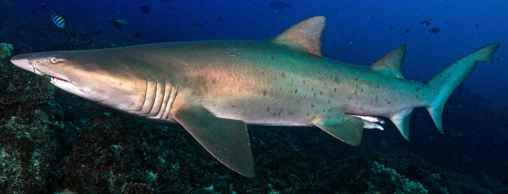 3aa70d6a-5bbe-4294-8f42-e35f907a1710