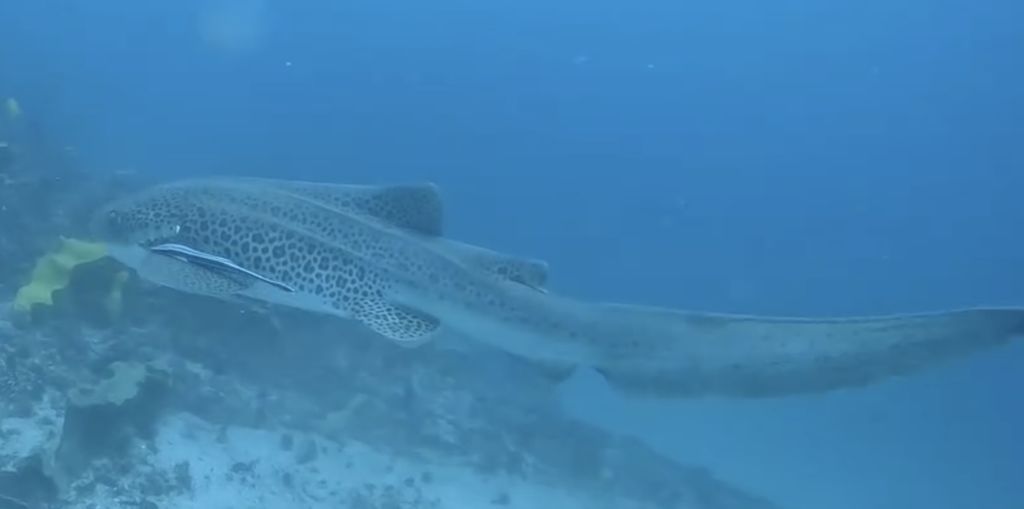 00474191-32ae-418b-a881-d50b263b2b95