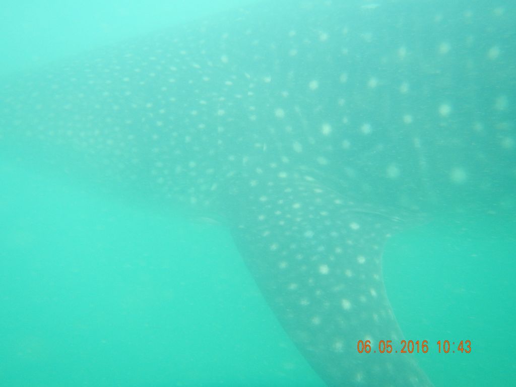 5e354854-1610-4e55-bea0-246ca23e012e