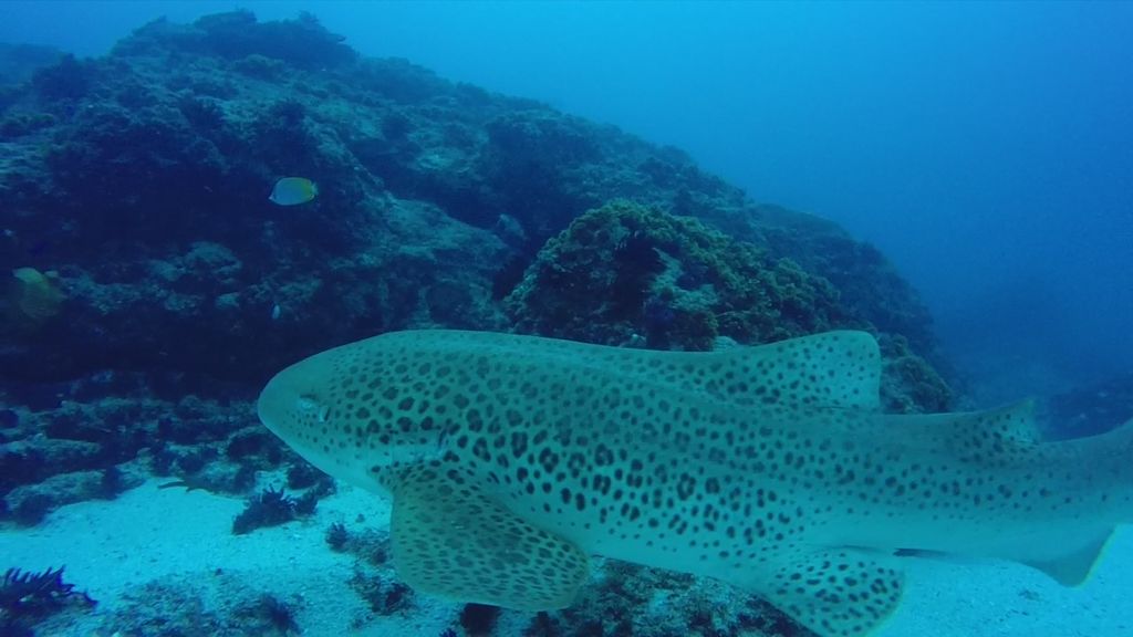 ec19e502-6bcf-479b-9c82-30ee8987fa96