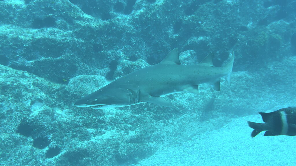 e333e76e-ec6e-4d28-9ebf-3d630e917fa2