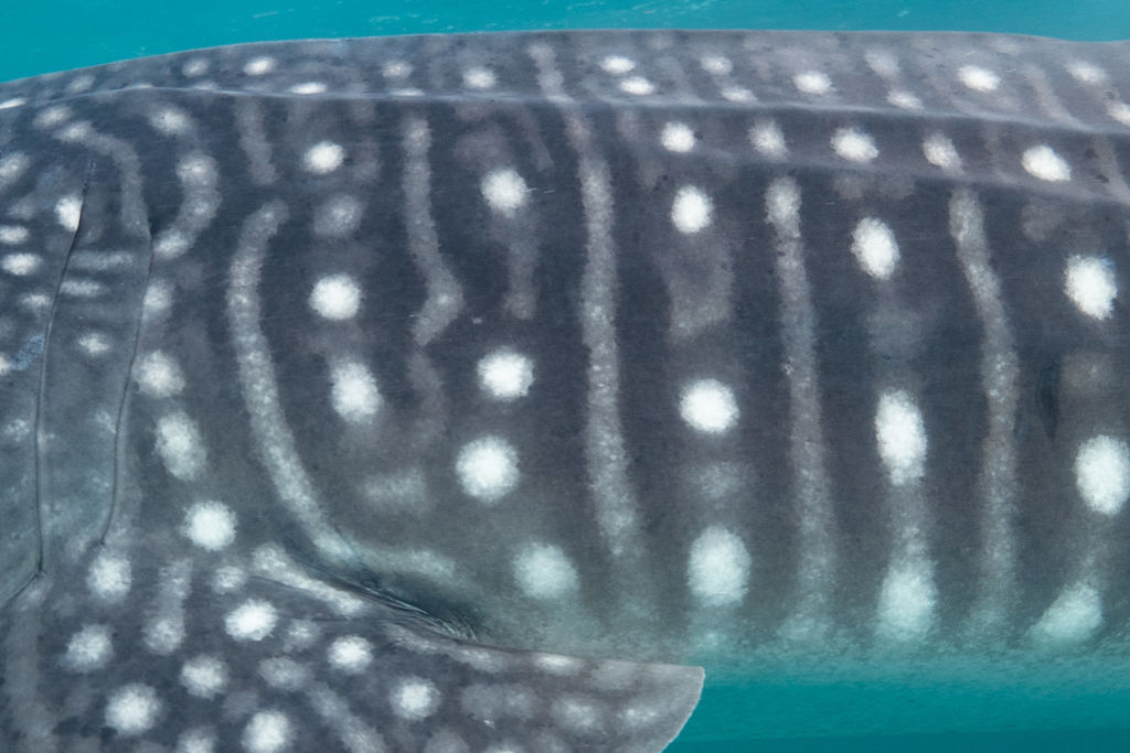 a16d984d-f308-4135-999e-5cbbdee74499