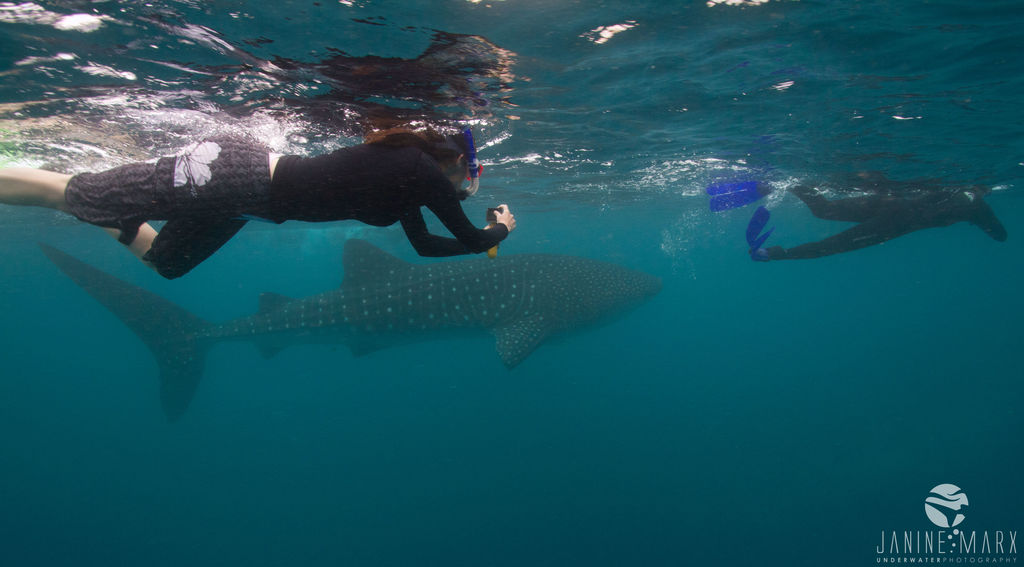 24d9c2a0-b959-4242-94b5-68403b90ef48