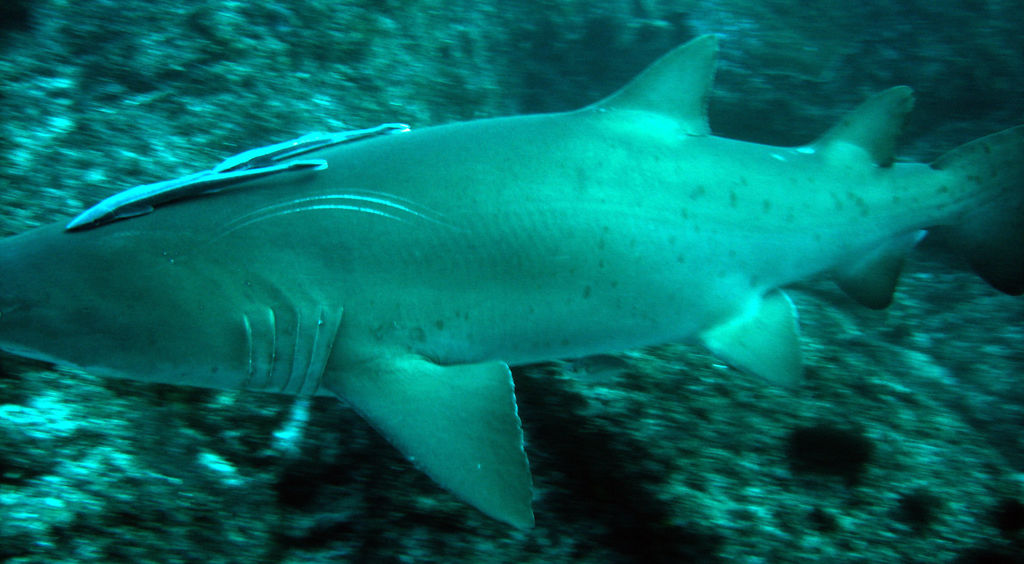 76636d52-7fd2-4c1d-ba86-bdbc13052b97