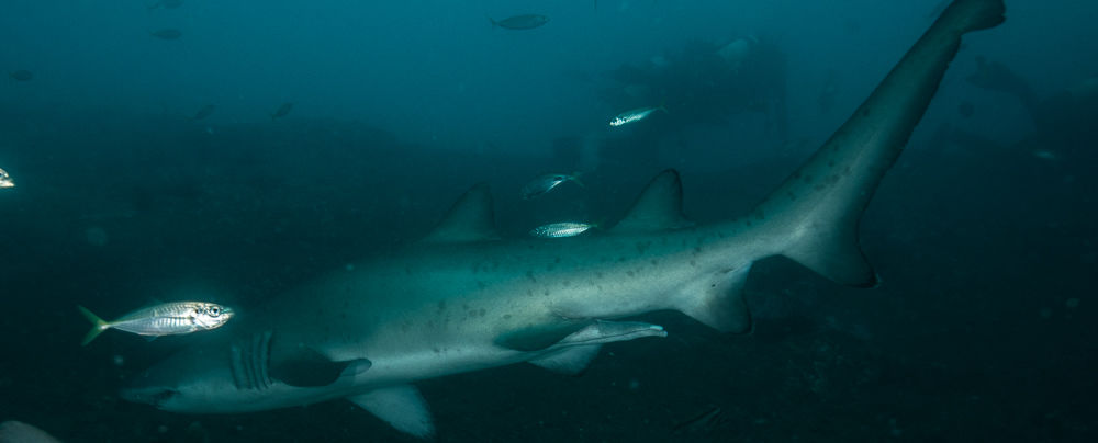 6abf613a-4f84-4d69-a169-6883235f38d4