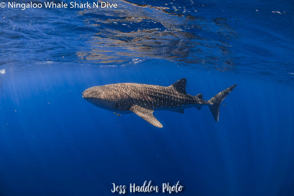 3fa9a066-4f60-442e-b415-fa36b5a56cb3