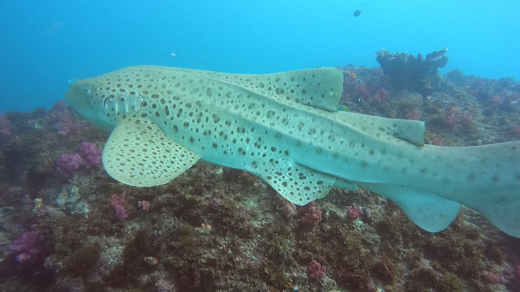 f2be489a-a27e-44ca-aaa8-addc2f7a79ab