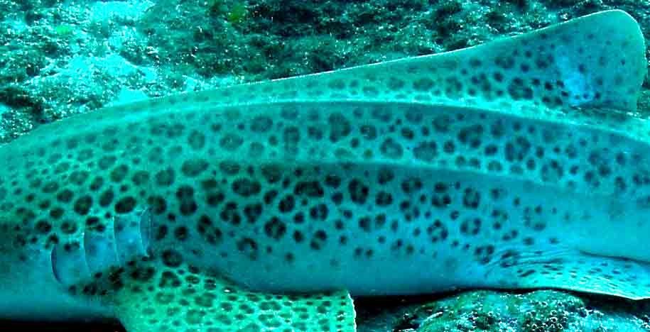 1d2abdf5-5665-428e-b9e3-863ff160e25e