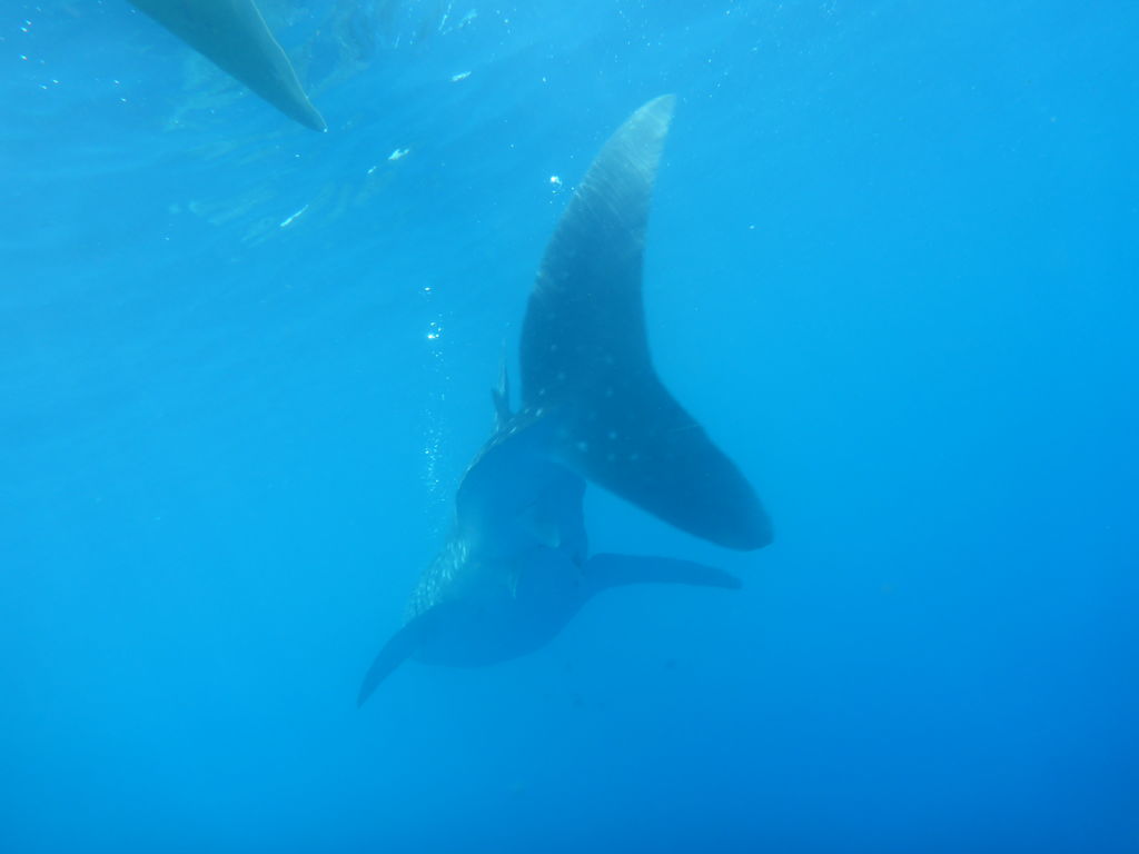 3c0b5de6-d357-4887-9fb2-29d675612b58