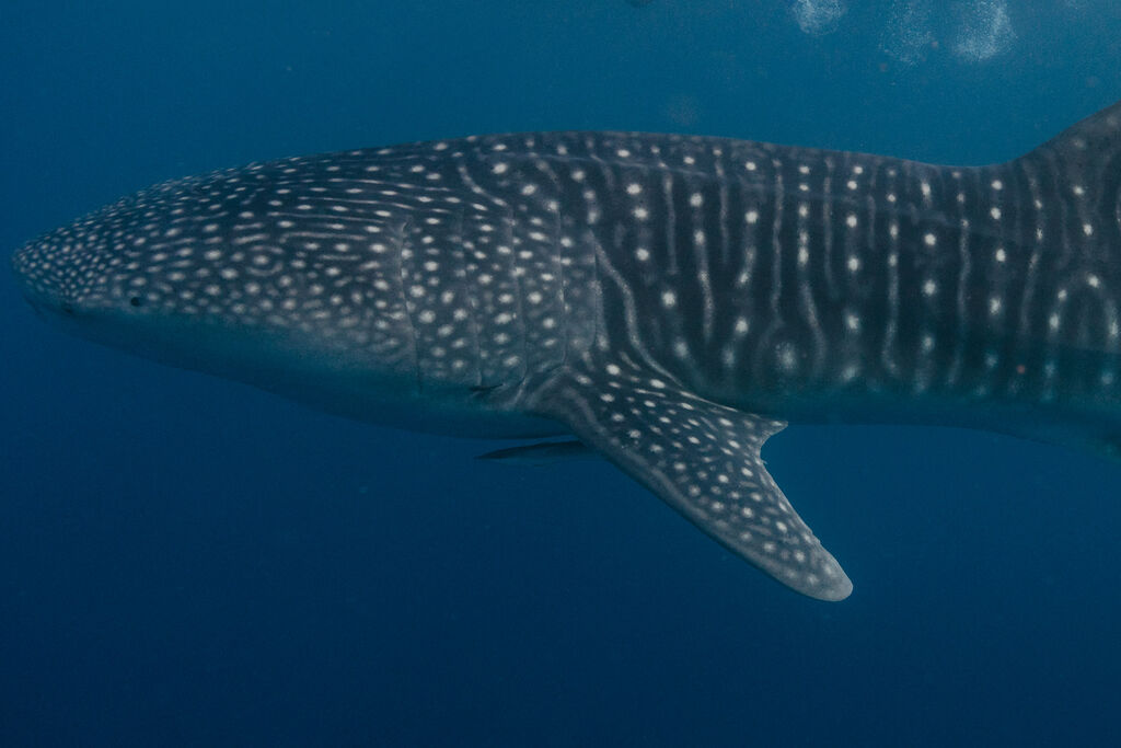 5d511330-5b7d-4765-b7c1-c56ef343376b