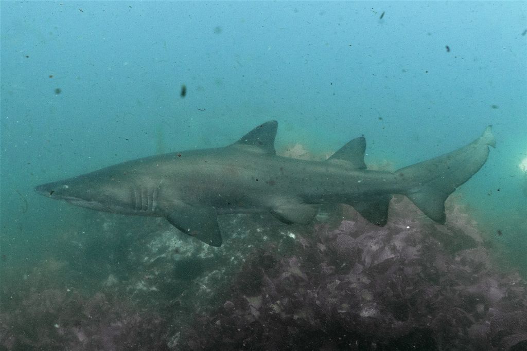 8e9d659c-4190-4481-a24a-5f6e8cfae6bc