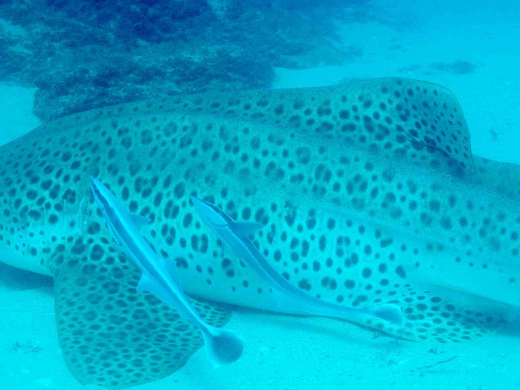 58dd8f62-c4bb-4e99-bc22-3cf532731f0b