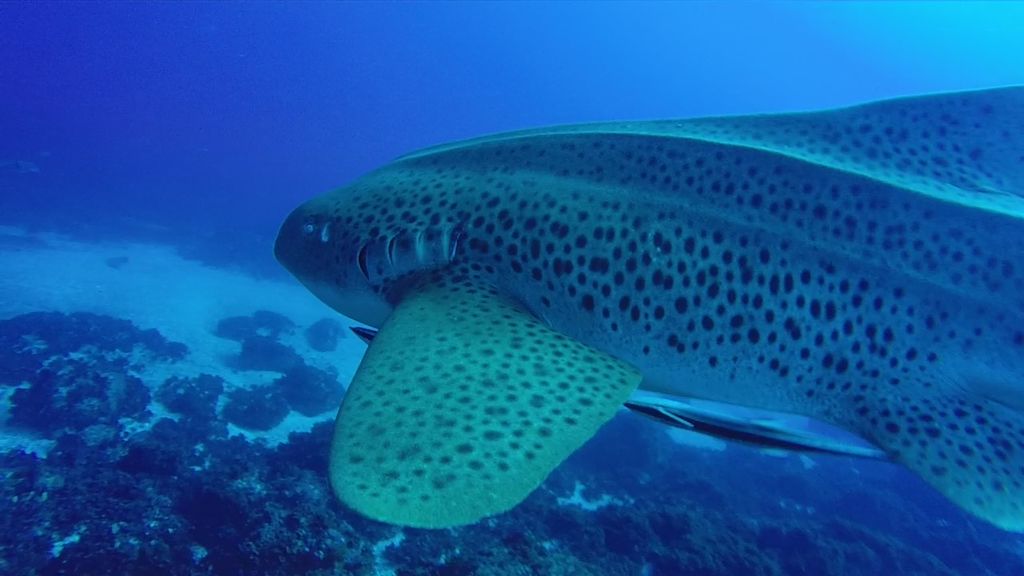 7544e871-1b7b-4384-81cb-da1eb2c56e54