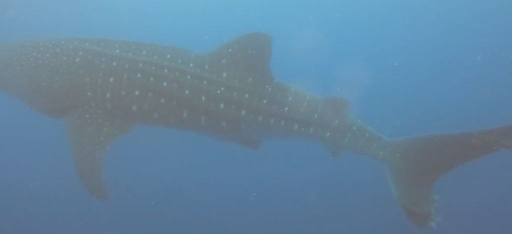 13d2403d-0f3d-4d85-a9f1-547d7962b915