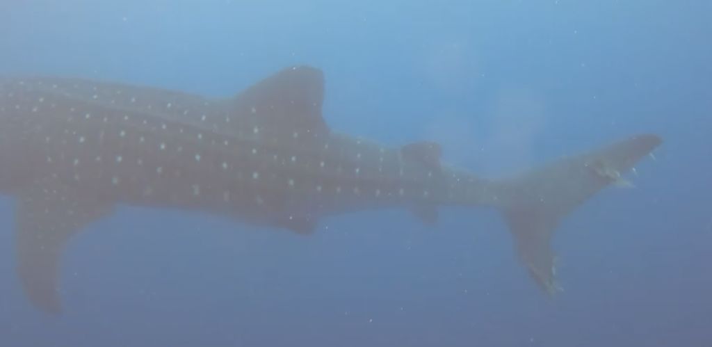 13d2403d-0f3d-4d85-a9f1-547d7962b915