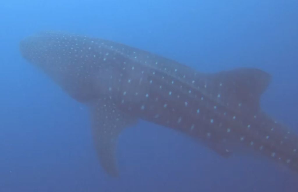 13d2403d-0f3d-4d85-a9f1-547d7962b915