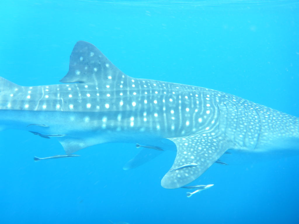 f5372a4f-7d98-47ec-9128-b8eca8550d0a