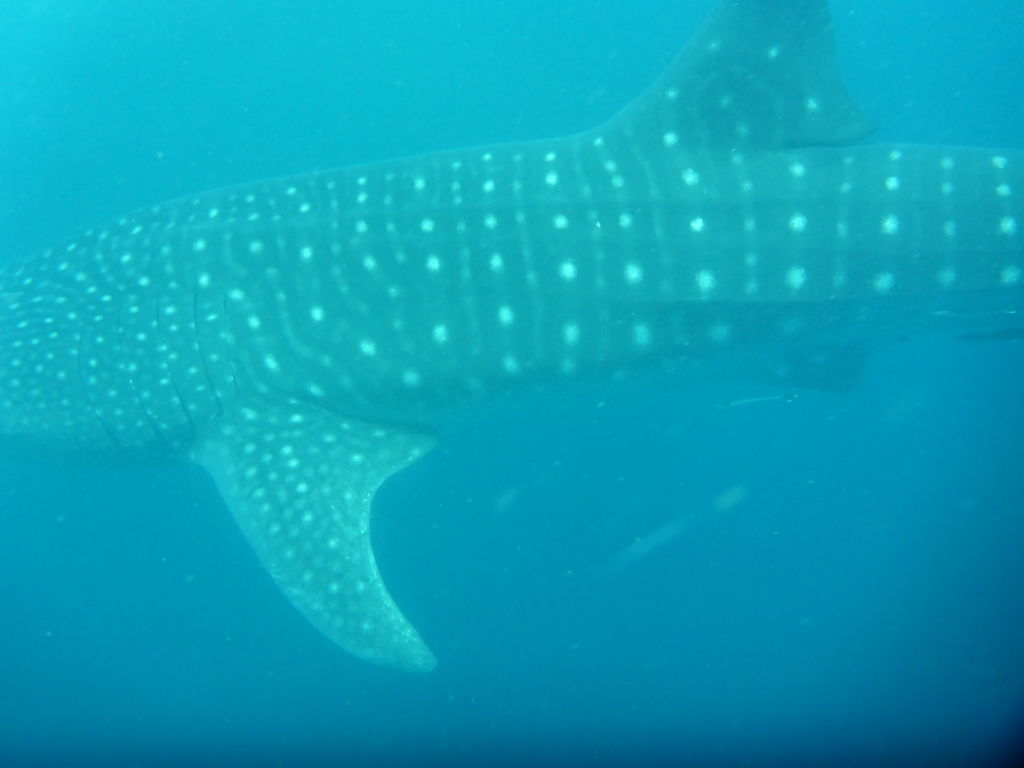 04d47922-ae75-4165-b020-2b55ef5a3581