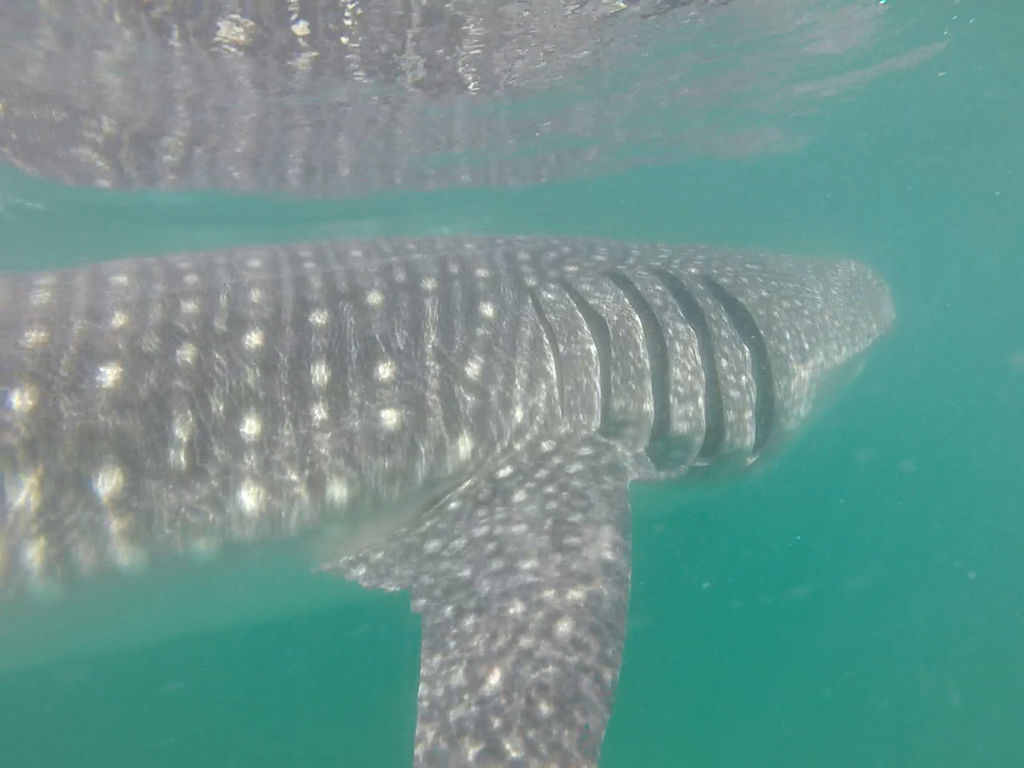 75369eb1-9659-4903-92a4-d0be01ed5aa4