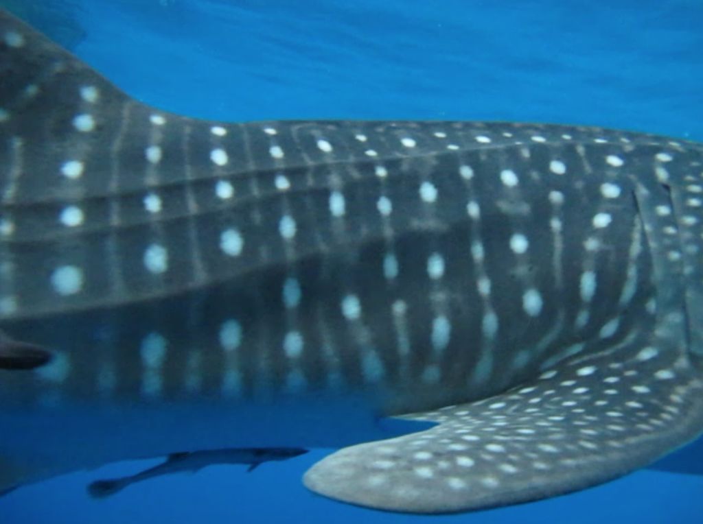 3b93fd6c-3dc7-45ea-aaad-5ede35d3b186