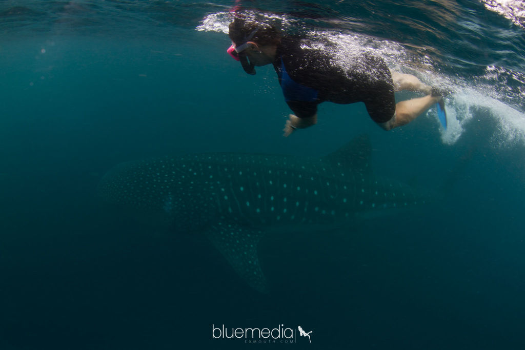 8e4ded73-d5ac-491a-92a2-4e9c7baac0f0