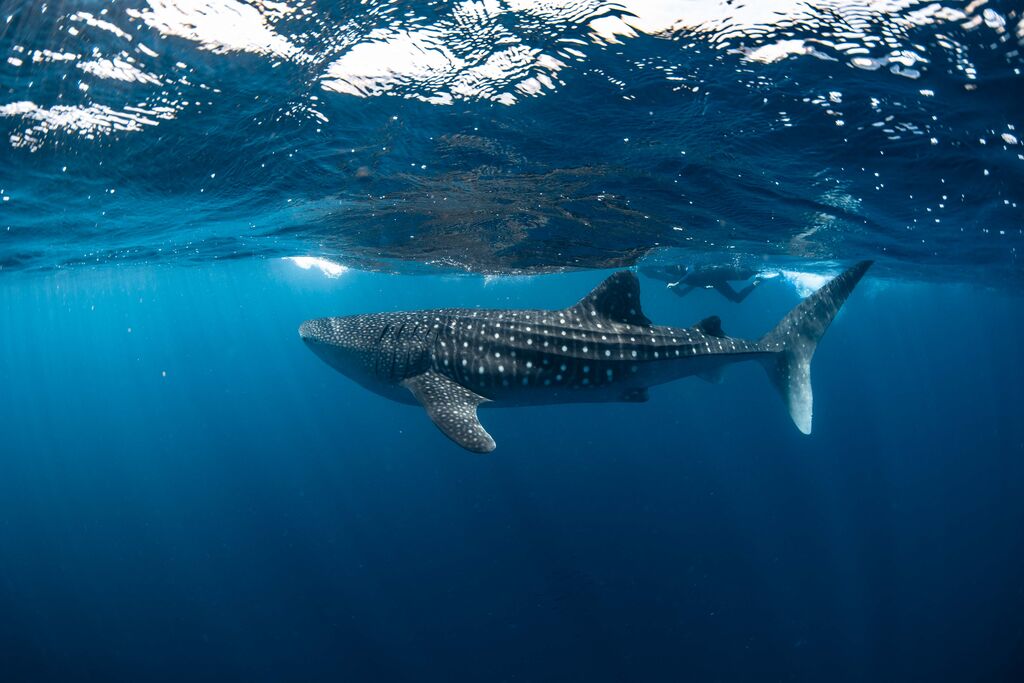 486ae258-b938-4683-ac63-dc7ad34fbf81