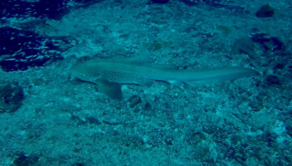 9adf5dab-596b-4b23-91ad-5670db576e80