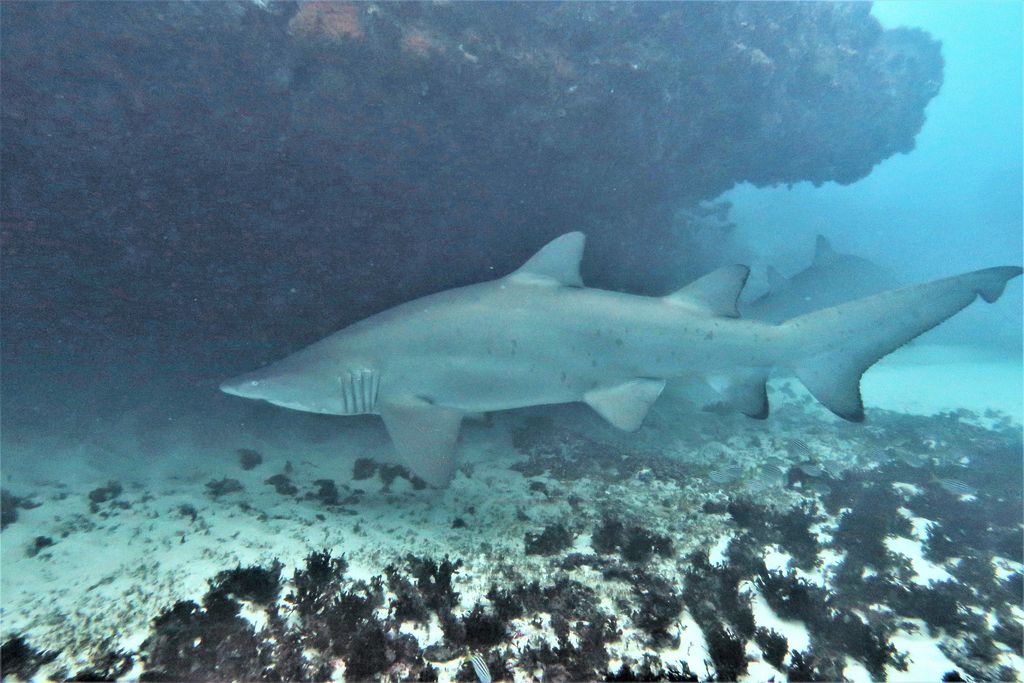 42473f04-c593-427c-adf9-396a4abb4089