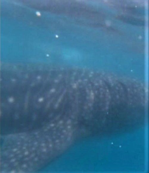 3d81bc6c-c381-4005-83c7-d33475f2cc20