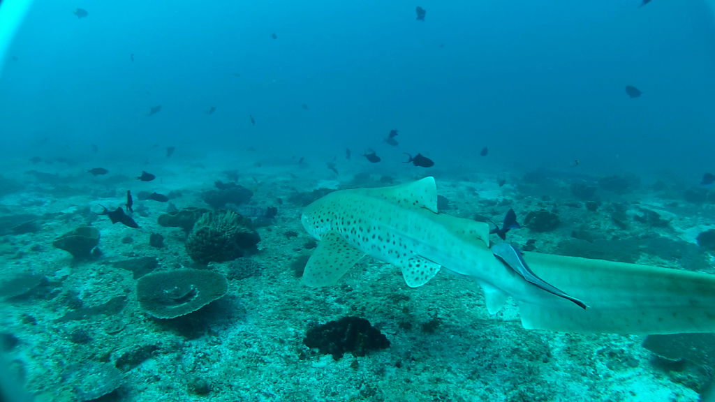 543f83c9-f2ca-4502-88e6-83c90862e6ad