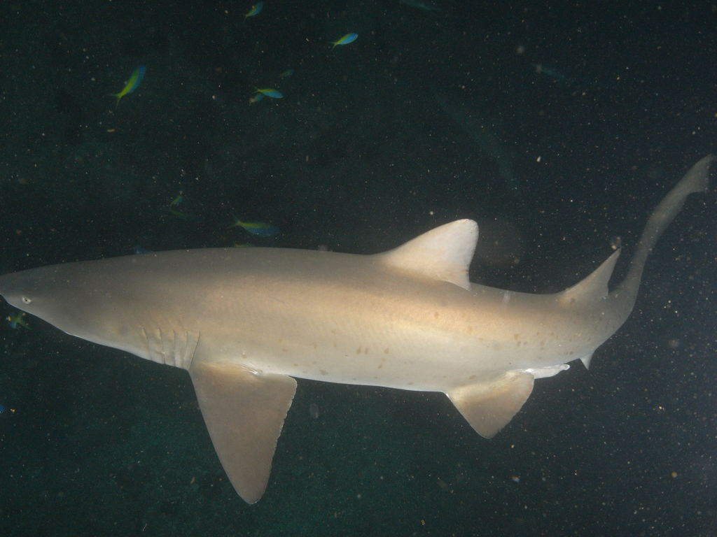 9a7a4ce6-8690-4d65-9f40-f05cc435f2ec