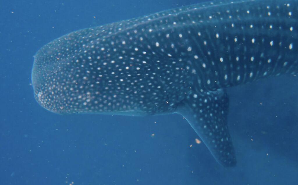 dac4260f-b10e-452c-981a-2e4e153906c7