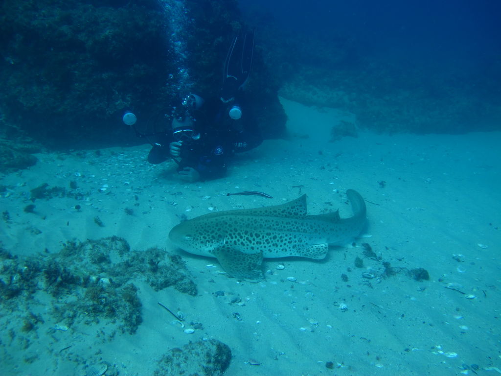 3bd27018-bc34-4219-85b8-7f31fae8570b