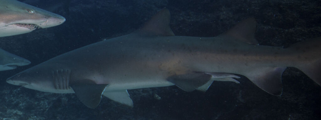 39ca857f-aef1-46a7-8cf5-63ac92020fb1