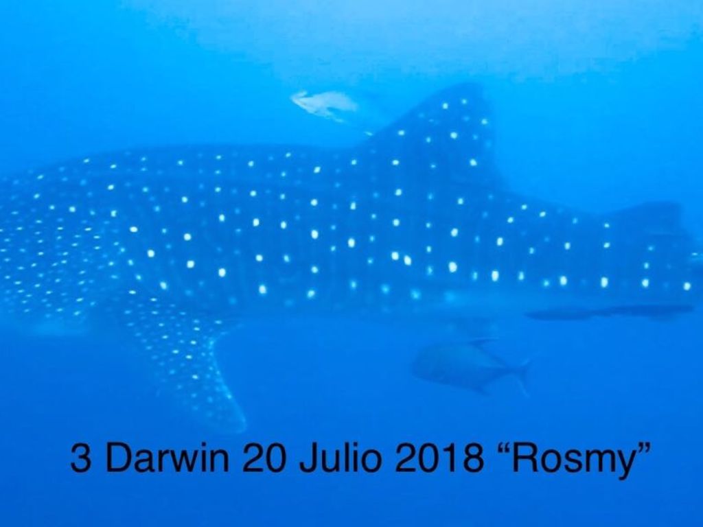 fa9812a3-c8bd-4ba8-9756-a4cb440fbe11