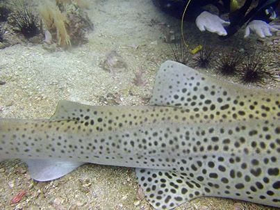 e8db6b52-ced5-4622-bd23-80420fb04af1