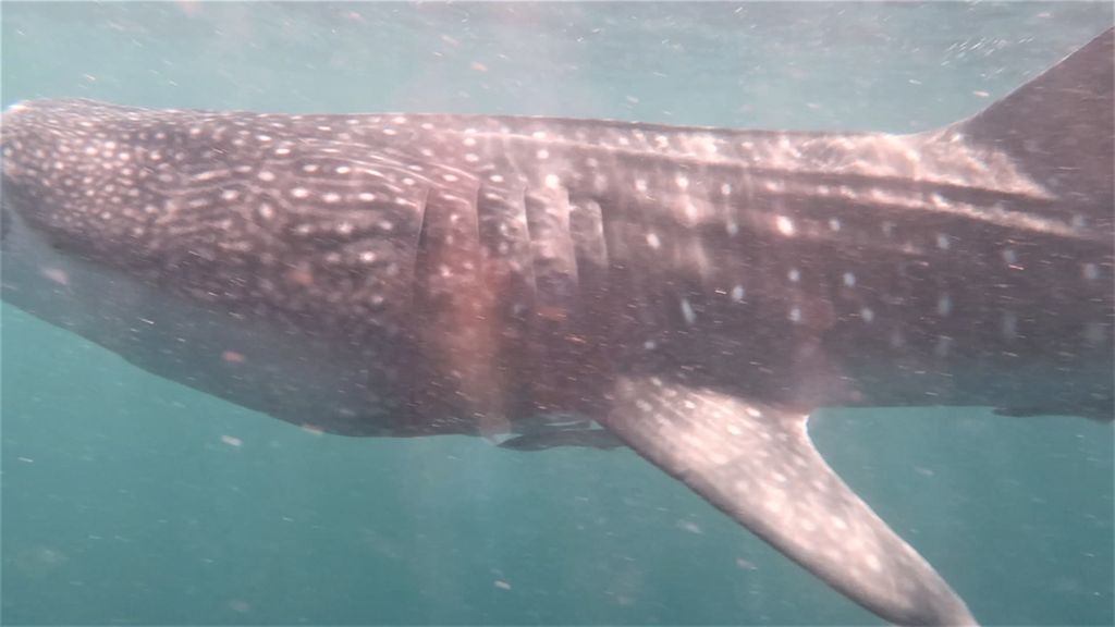 21b53a21-6614-431c-a4ef-e01668df024c