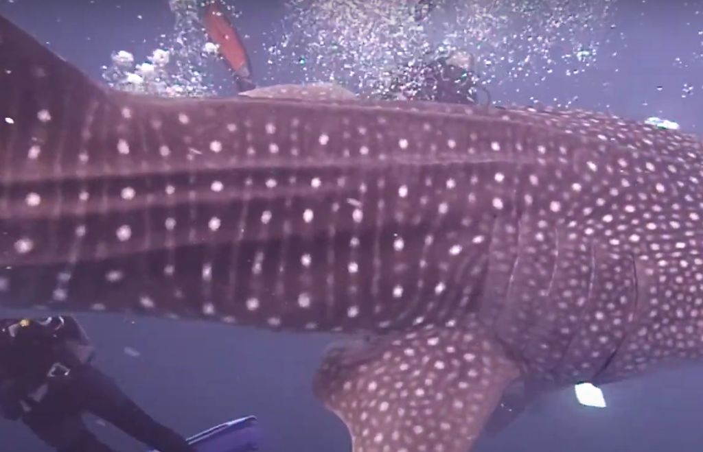 d6b98405-b013-4108-a245-0337fea620af