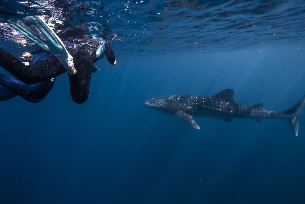 fef602ad-bc2b-4293-aa30-6789a72f130b