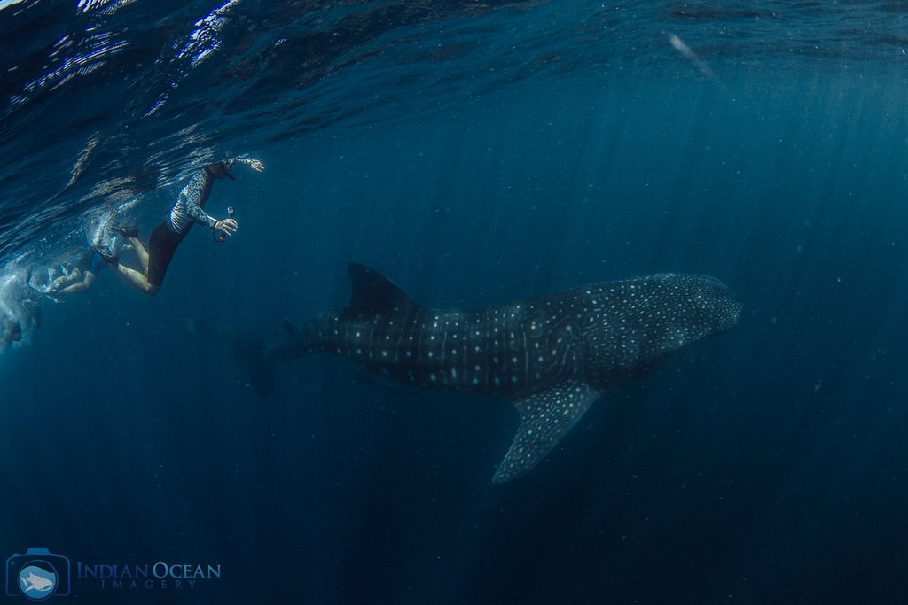 3ceb5445-daab-41ec-9bb5-75eafdec8e23