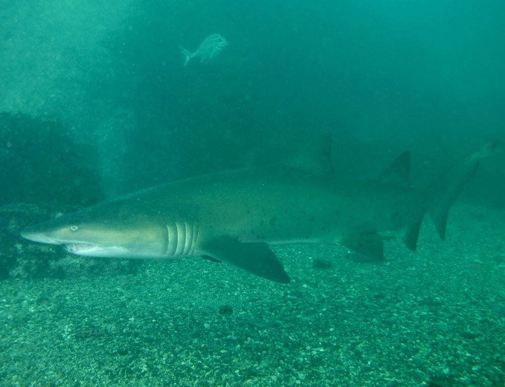 3f1390b4-8e32-4736-8208-68ba1264027f