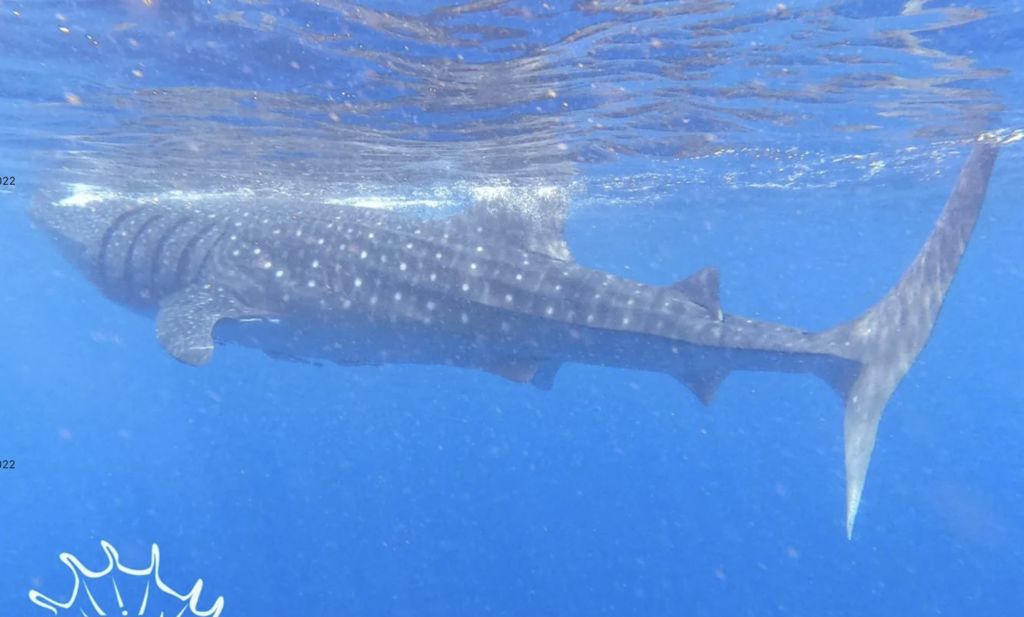 db065107-67e2-43f6-bb29-43f5e892326f