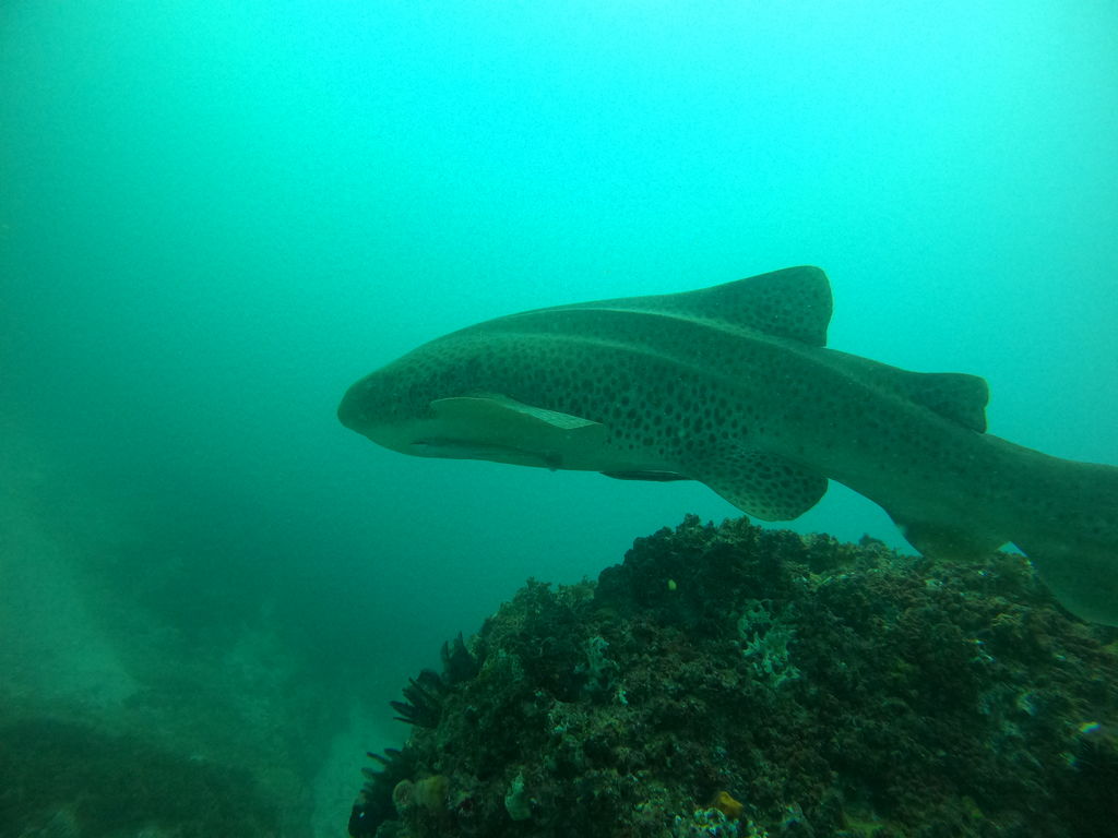 3a8ac727-08cf-456d-8203-795452334977