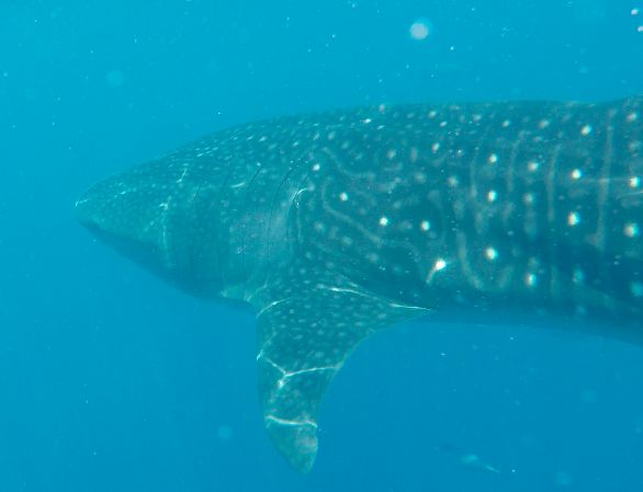 b25ddc32-adf6-4f1b-b8a0-24b9b00a1f12