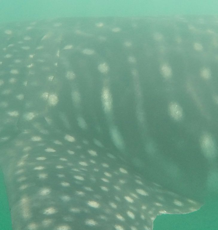 ab1802fd-c777-49e2-87c0-6f7e23361752