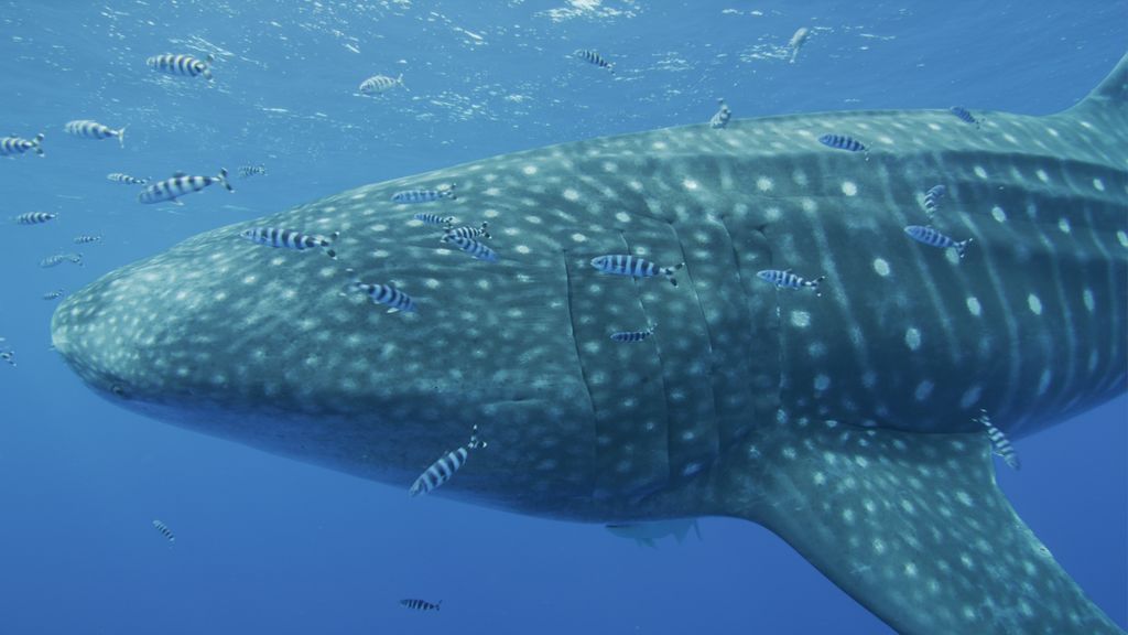 57c36786-8115-458e-bda1-eae461b0e3fe