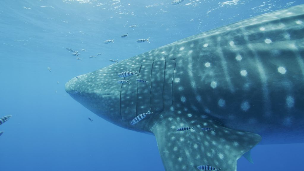 57c36786-8115-458e-bda1-eae461b0e3fe