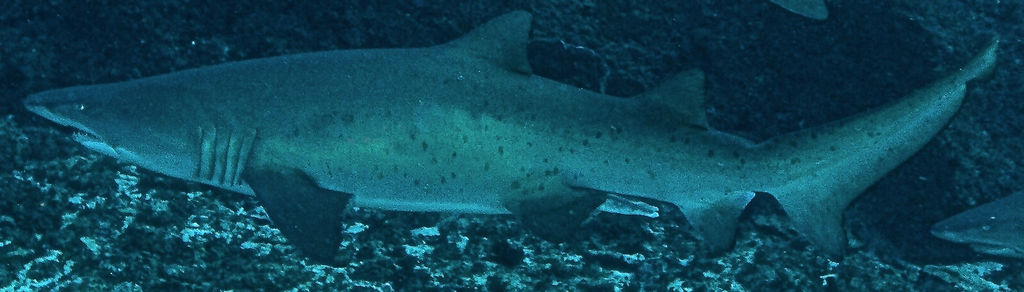 1ea2810f-5498-4505-a51c-17cf69540820