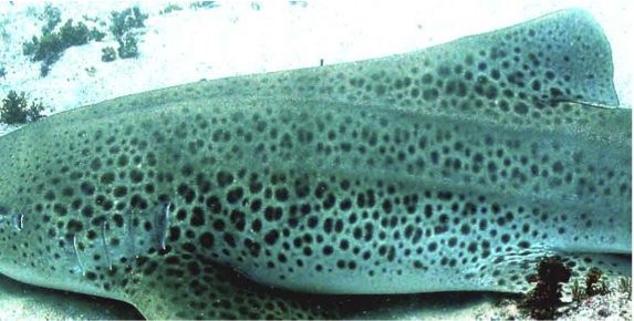 50439826-715d-421f-9b9b-5c25925abba9