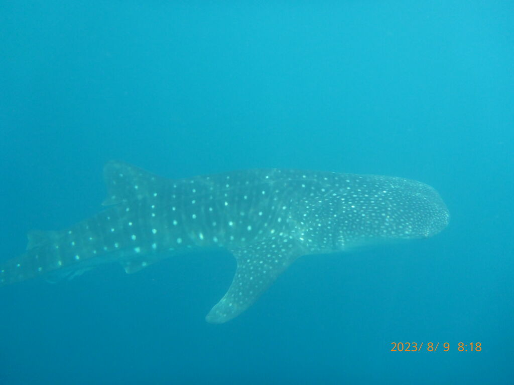 b7ccaab1-583d-4b32-96bf-df4091fff376